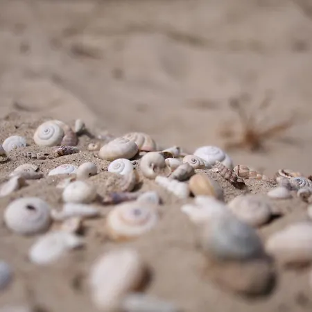 Appartement - Dahlia 007 *