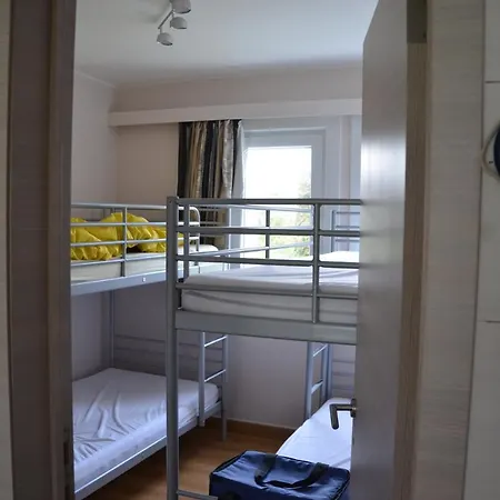 - Dahlia 007 * De Haan