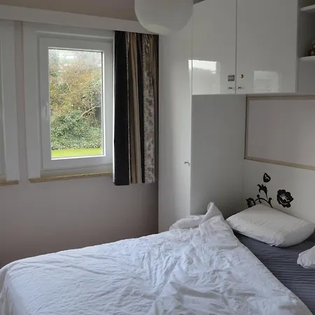 - Dahlia 007 De Haan