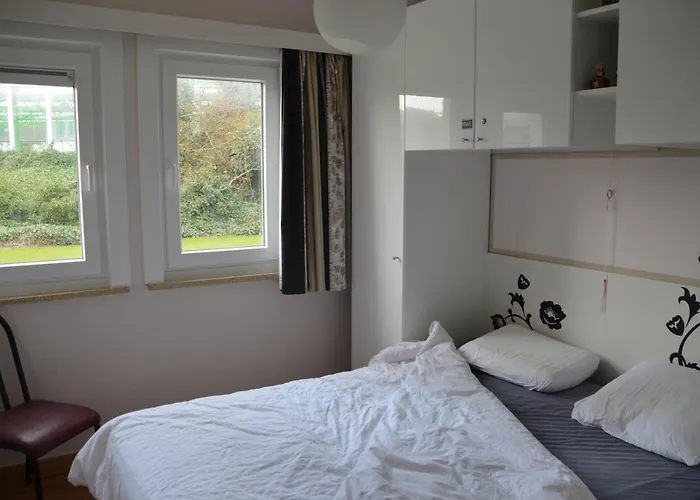 - Dahlia 007 デ ハーン